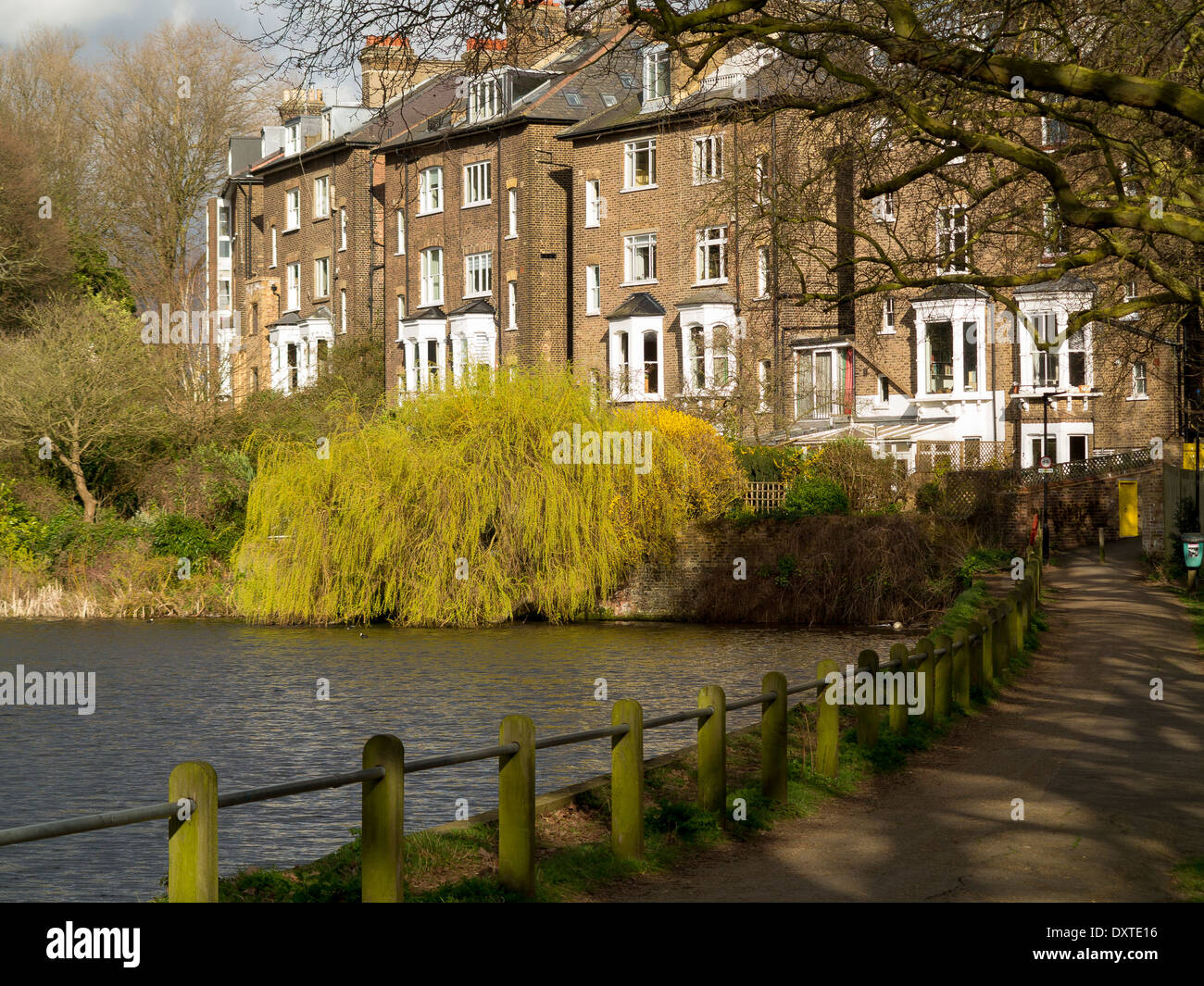 A pond on Hampstead Heath, London with homes on South Hill Park in