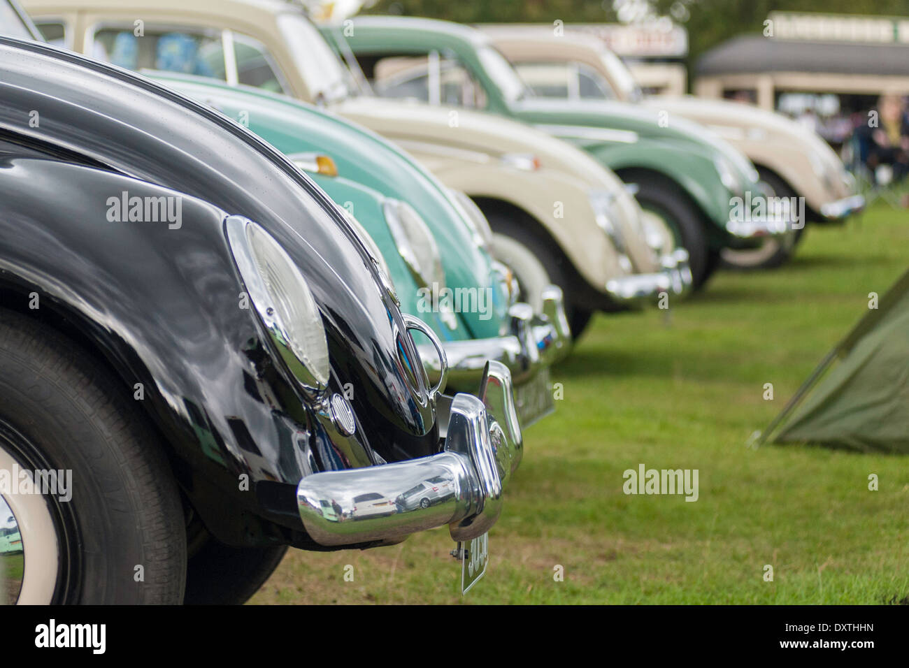 Volkswagen Beetle front view. Stock Photo