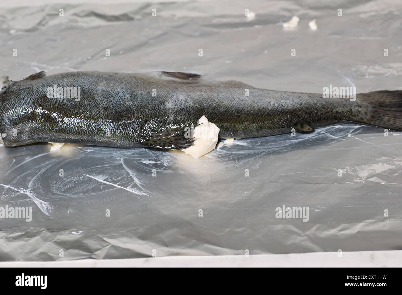In Polish cuisine, on the Polish table. Trout from family fish