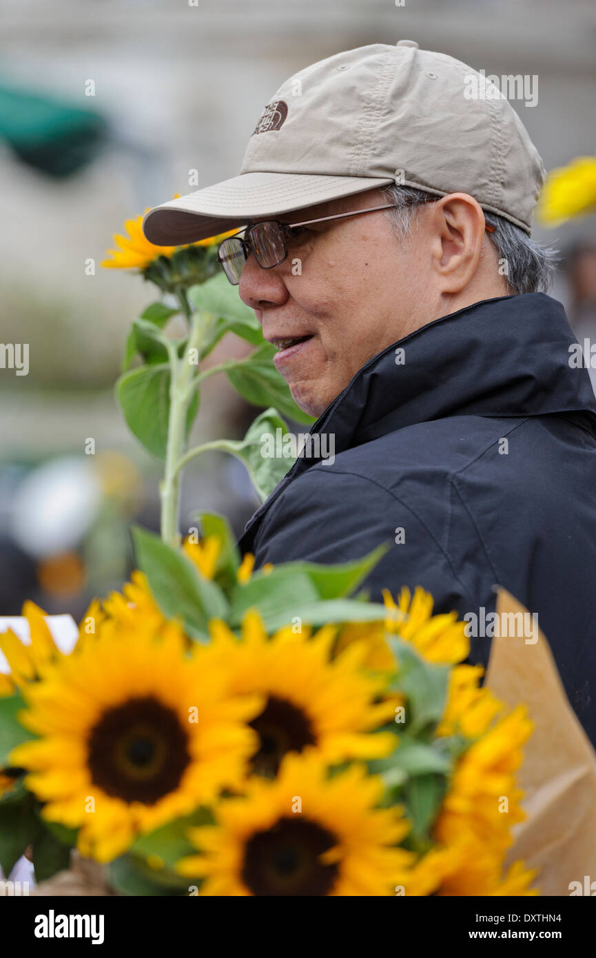 Sunflower student movement london hires stock photography and images