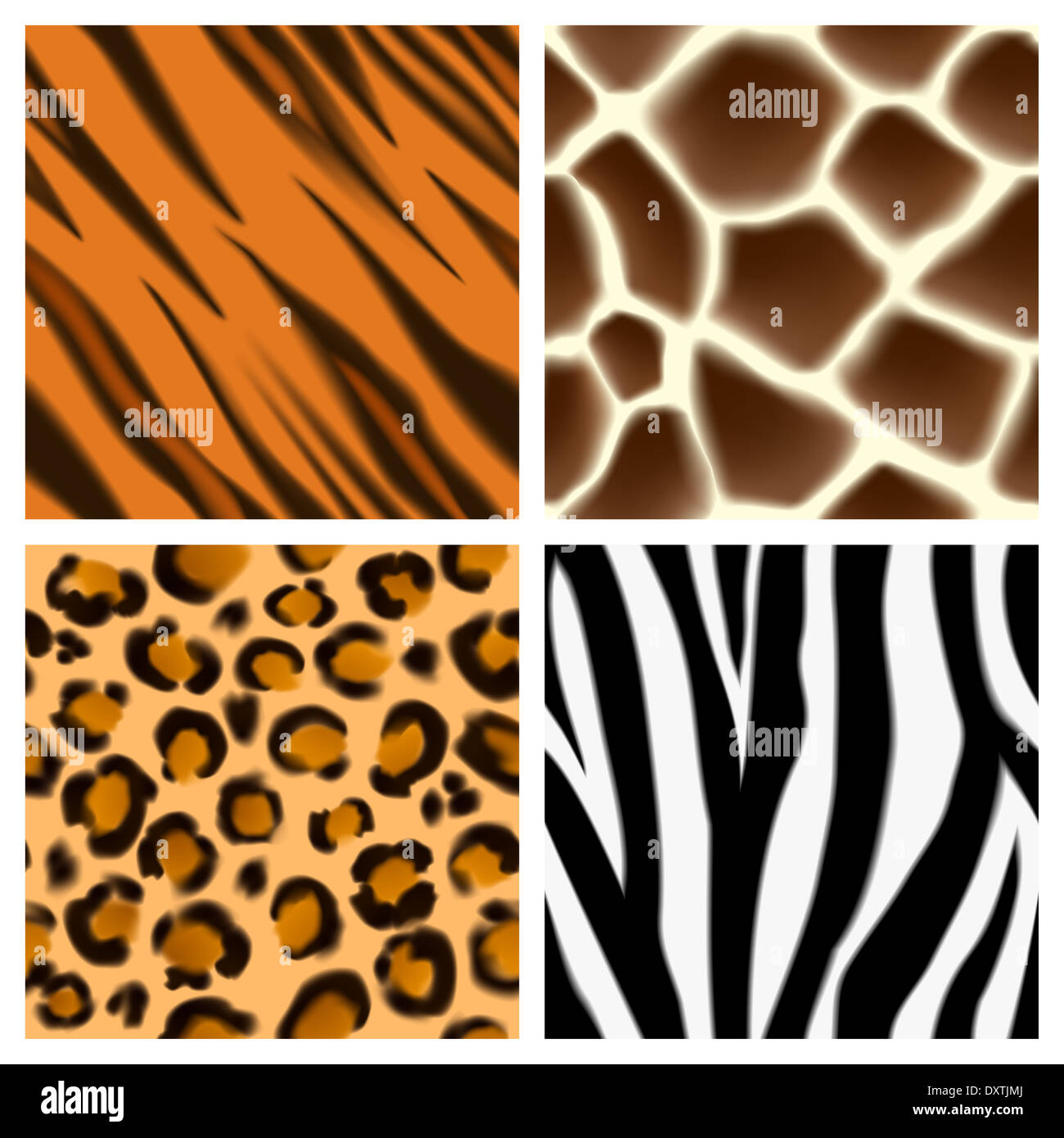 A set of detailed animal print seamless patterns or textures. Giraffe, cheetah or leopard, zebra and tiger skins Stock Photo