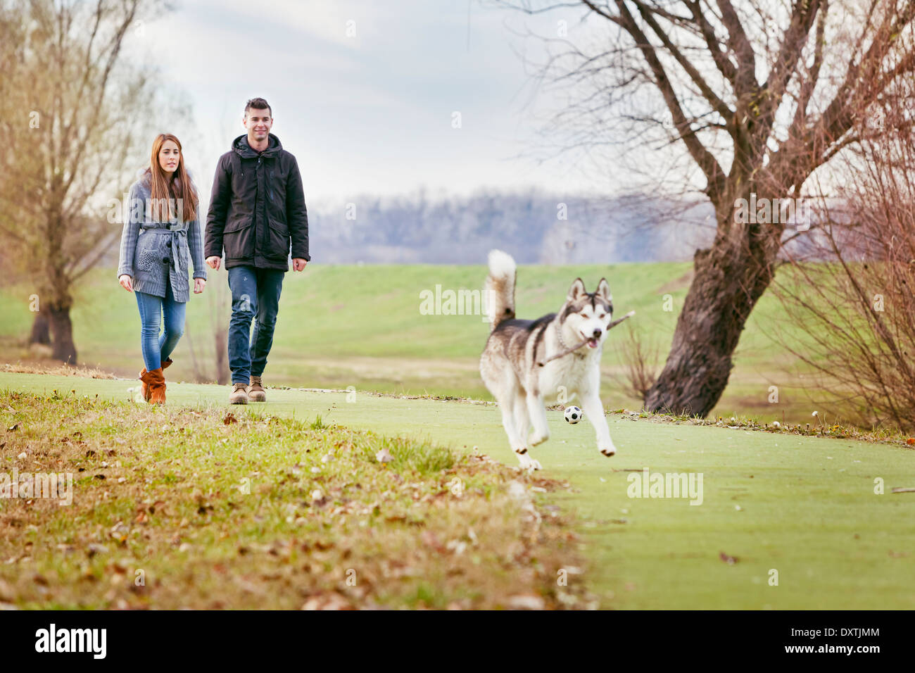 Couple Walking Dog Outdoors, Croatia Stock Photo