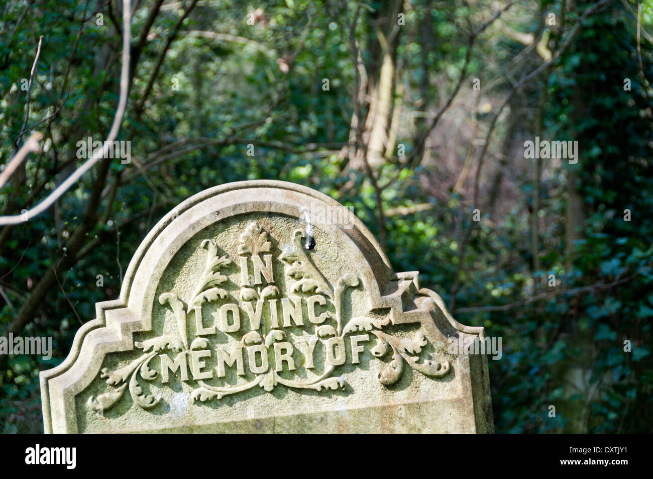 The words 'In Loving Memory Of' carved on the top of a stone gravestone in Nunhead Cemetery, south London. Stock Photo