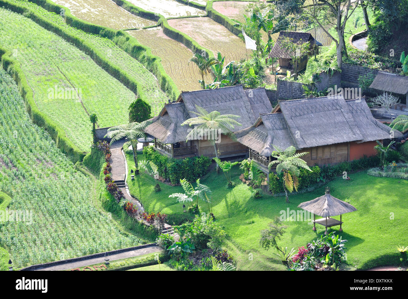Rural indonesia village hi-res stock photography and images - Alamy