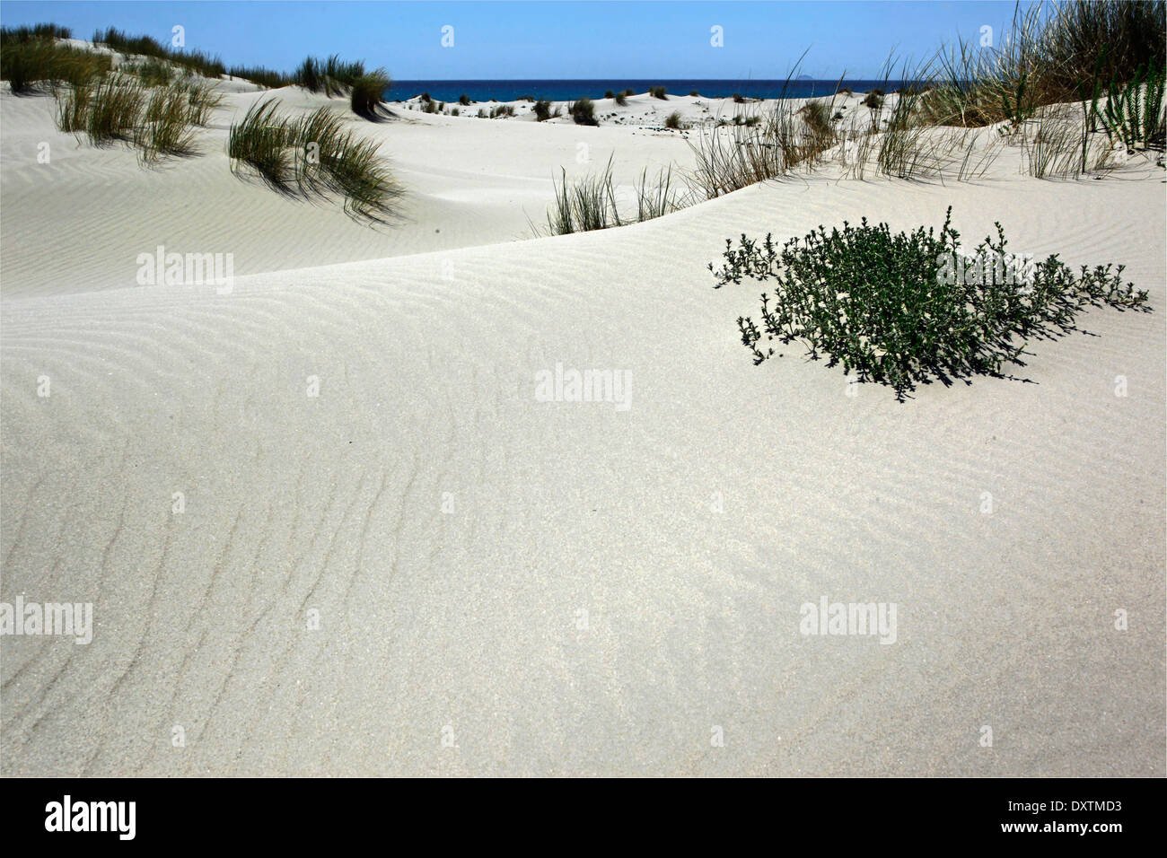 The Sand Dunes of Porto Pino - Sardinia Italy Stock Photo