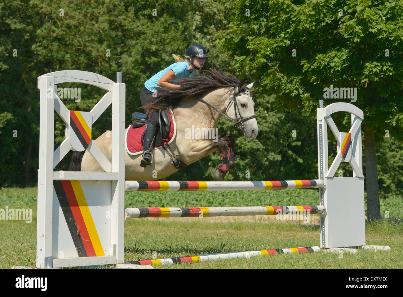 Rider on back of a Connemara pony jumping over a fence Stock Photo