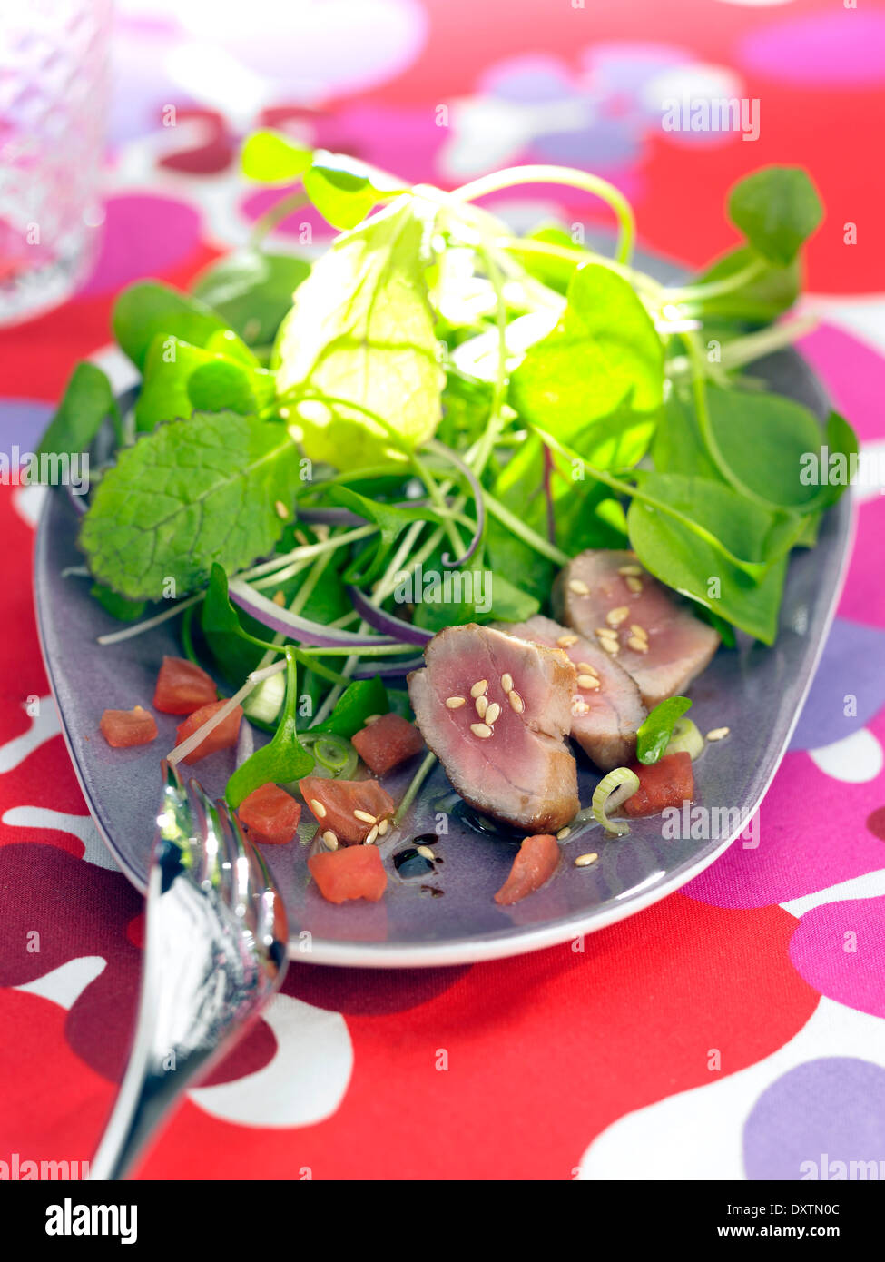 Half cooked tuna hires stock photography and images Alamy