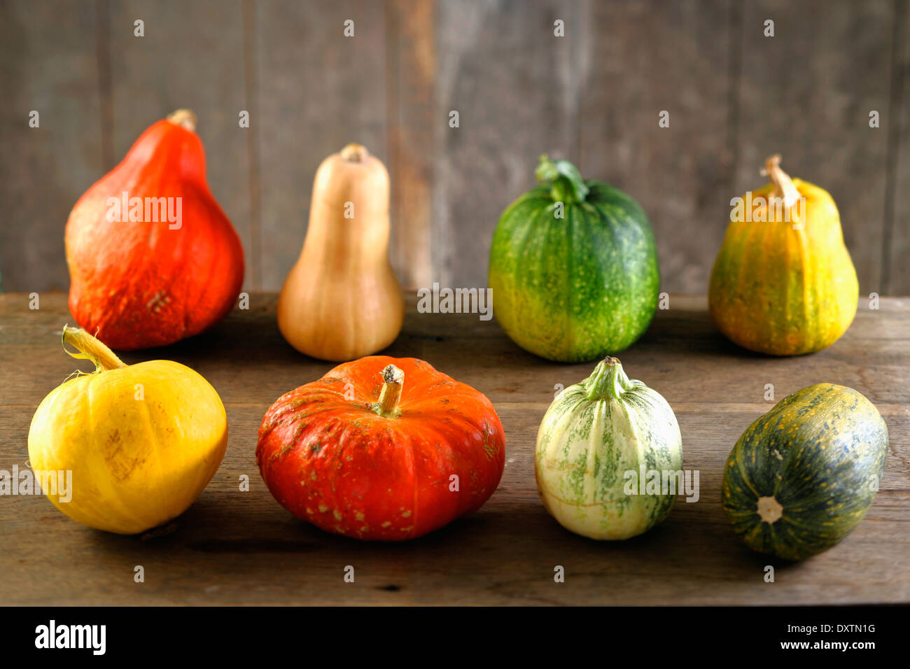 Assorted pumpkins and squashes Stock Photo