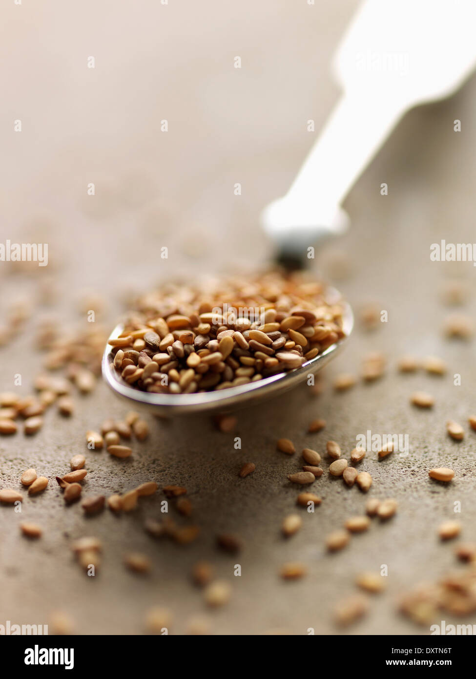 Spoonful of sesame seeds Stock Photo