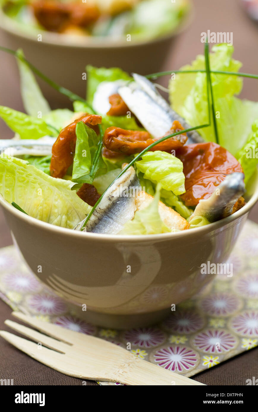 Sardine,lettuce and sun-dried tomato salad Stock Photo