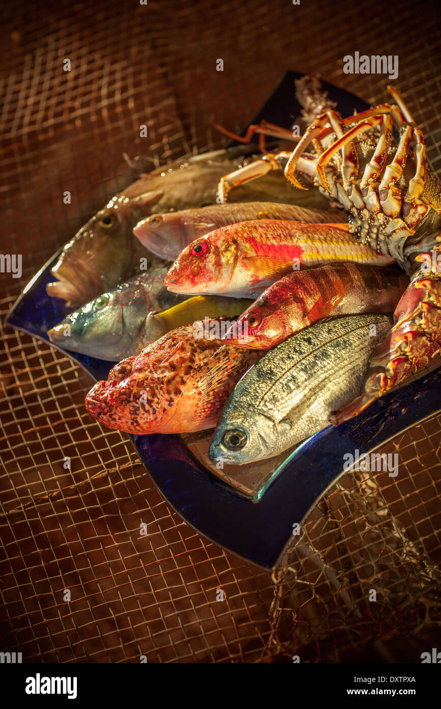 Variety of fresh fish Stock Photo