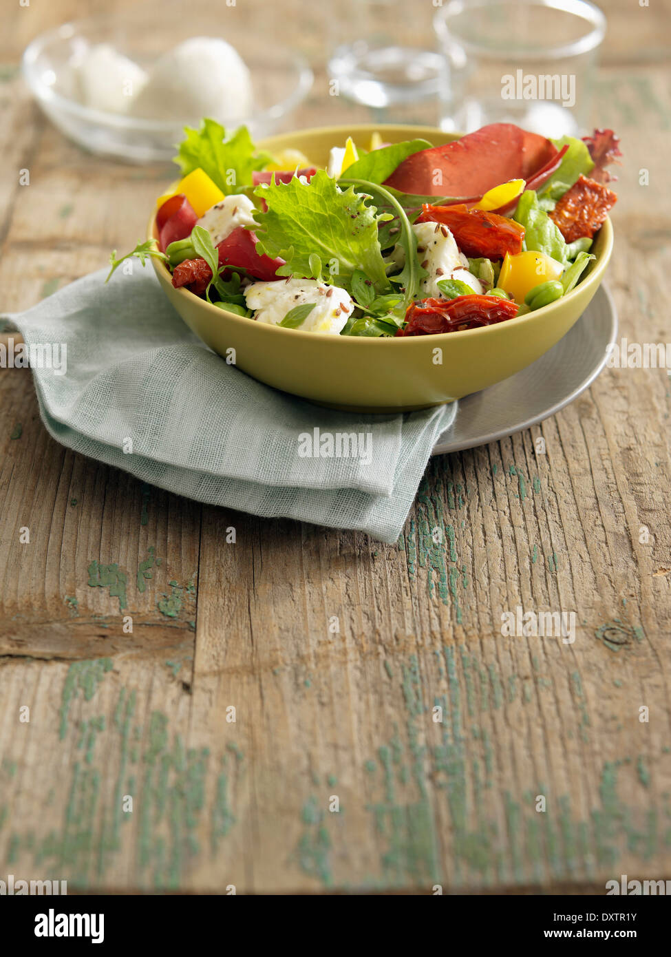 Yellow bell pepper,sundried tomato,mozzarella and bresaola salad Stock