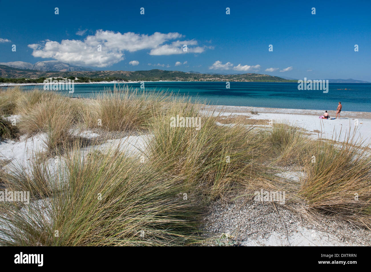 Sand dunes and plants at Capo Comino beach, Siniscola, east coast of Sardinia, Italy Stock Photo