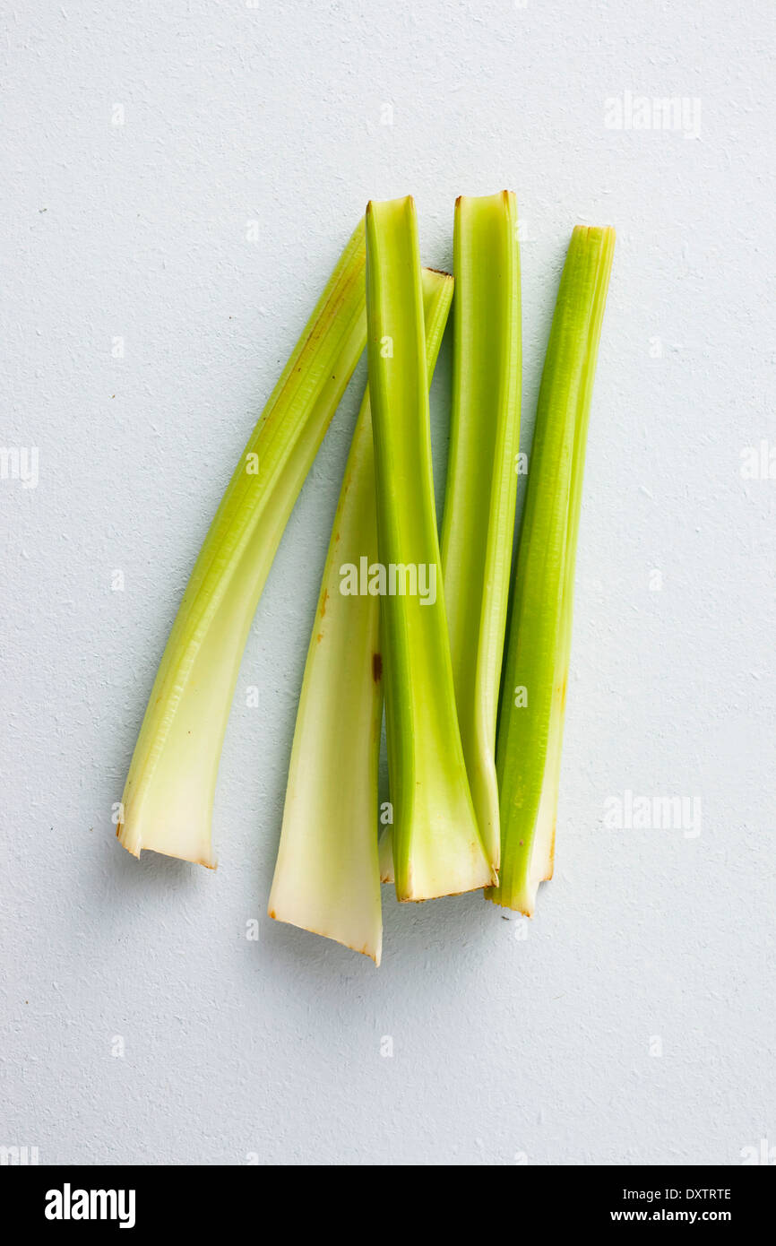 Celery stalks Stock Photo