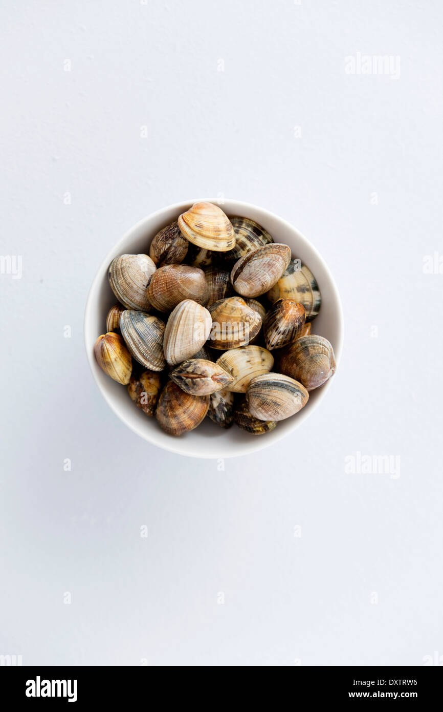 Littleneck clam hires stock photography and images Alamy