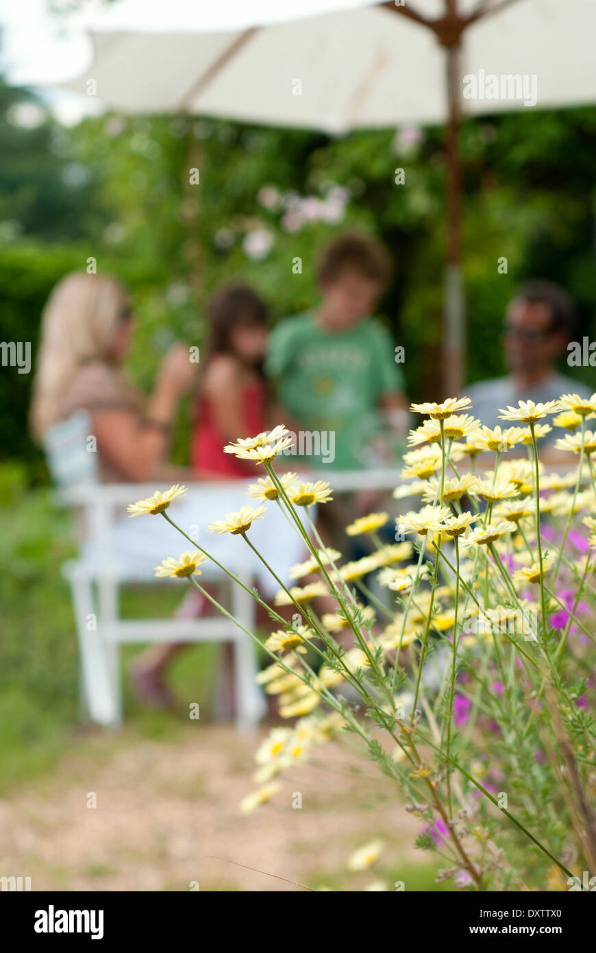 Family relaxing outside in the garden in Summer. Stock Photo