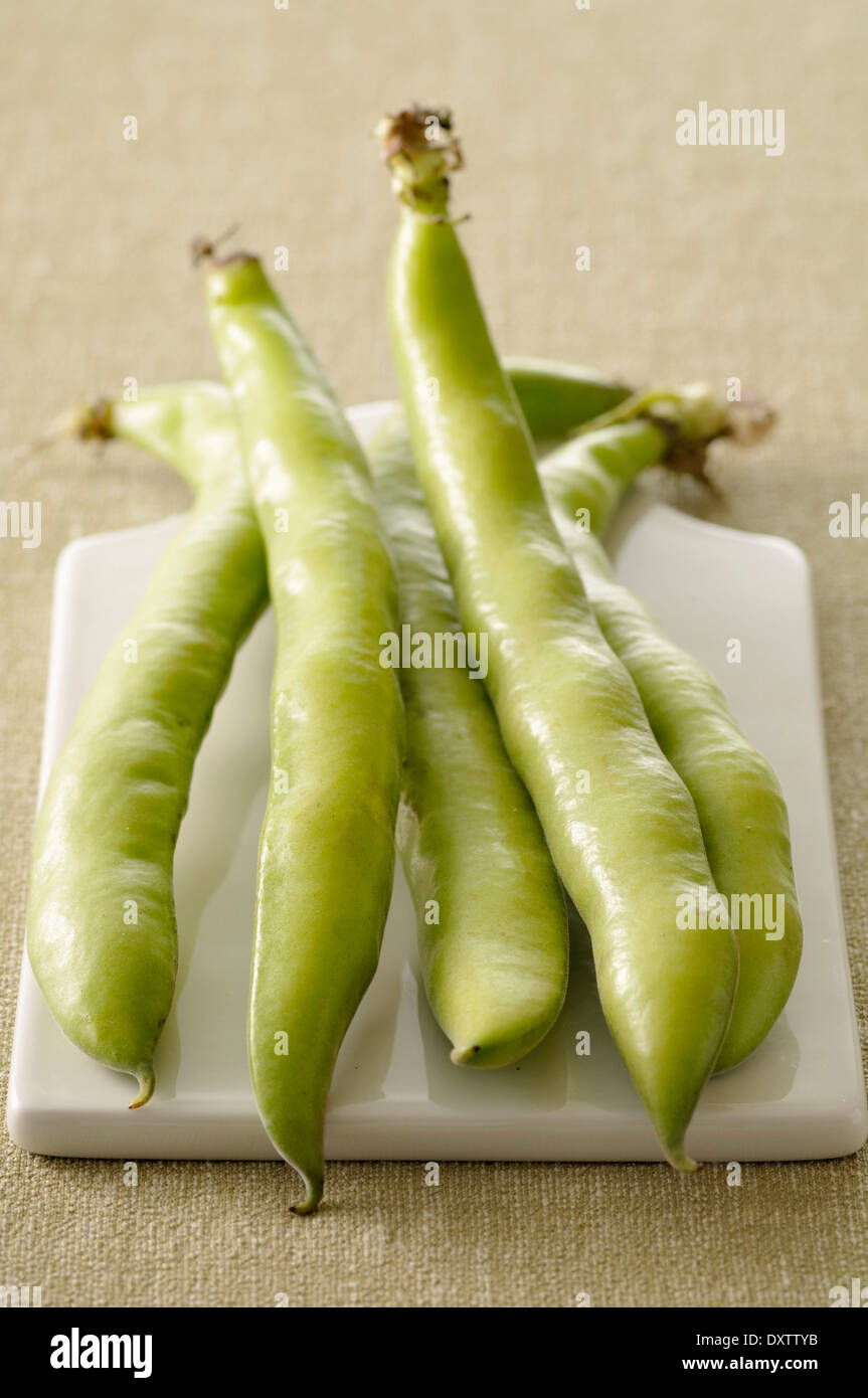 Broad beans in their pods Stock Photo Alamy