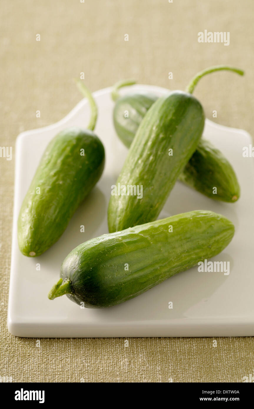 Mini cucumbers Stock Photo Alamy