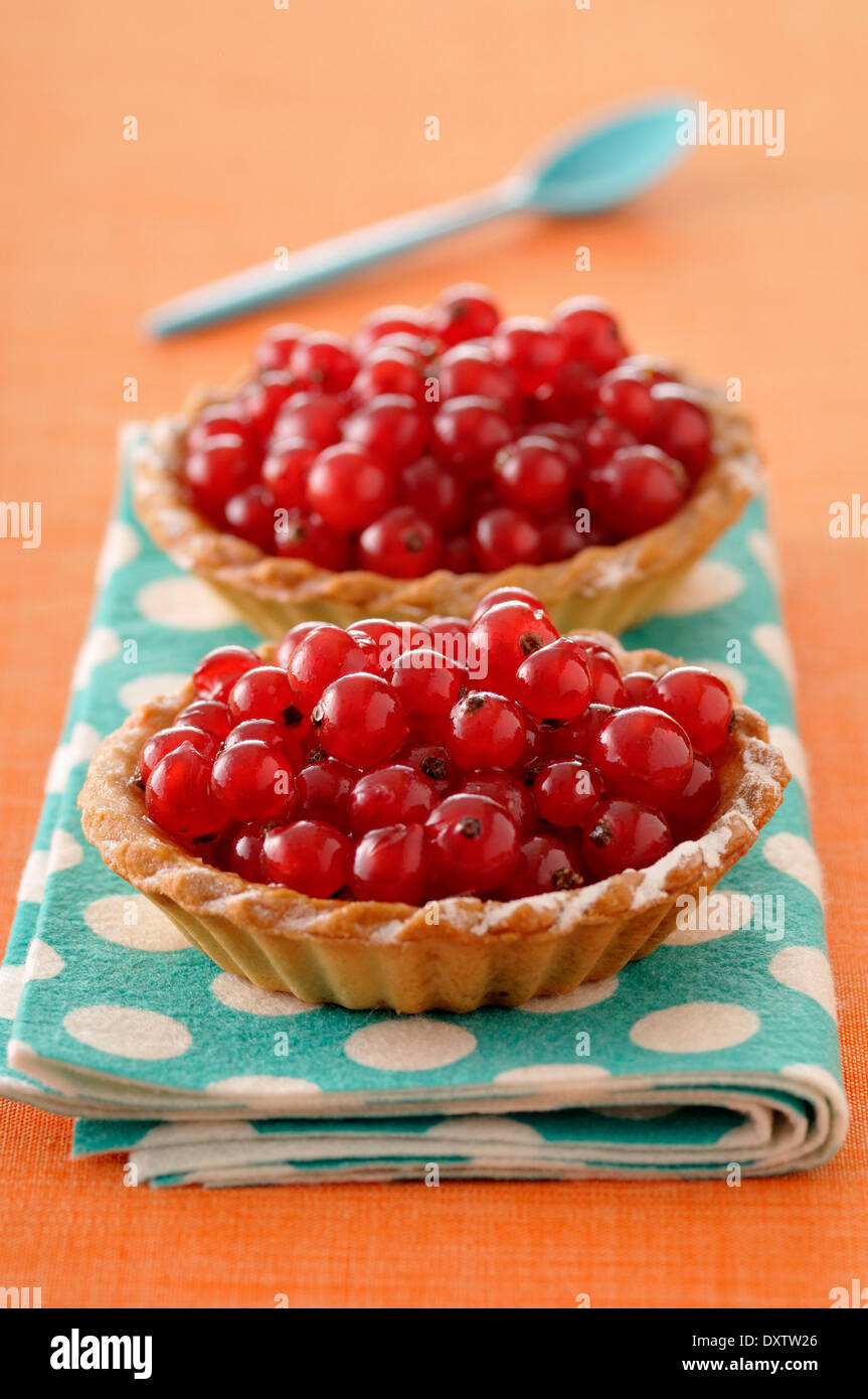 Redcurrant tartlets Stock Photo