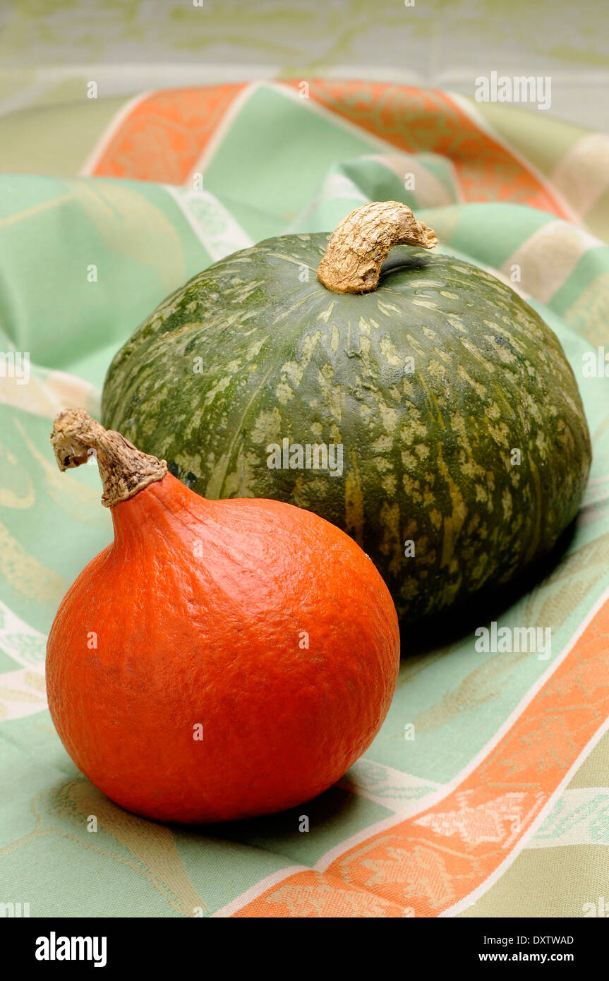Green and orange pumpkins Stock Photo