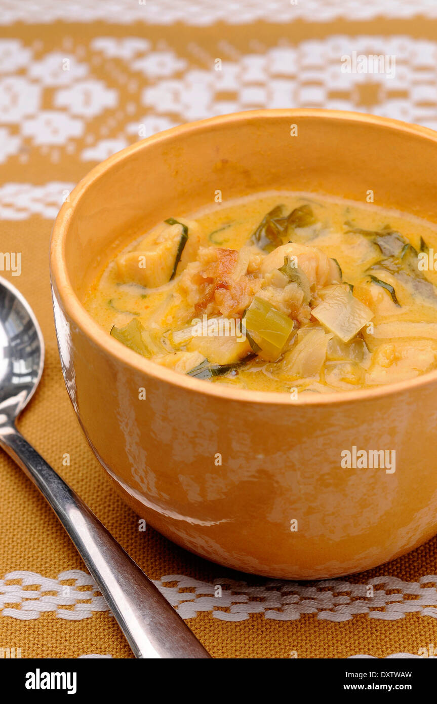 Chicken,coconut milk,shallot and leek soup Stock Photo Alamy