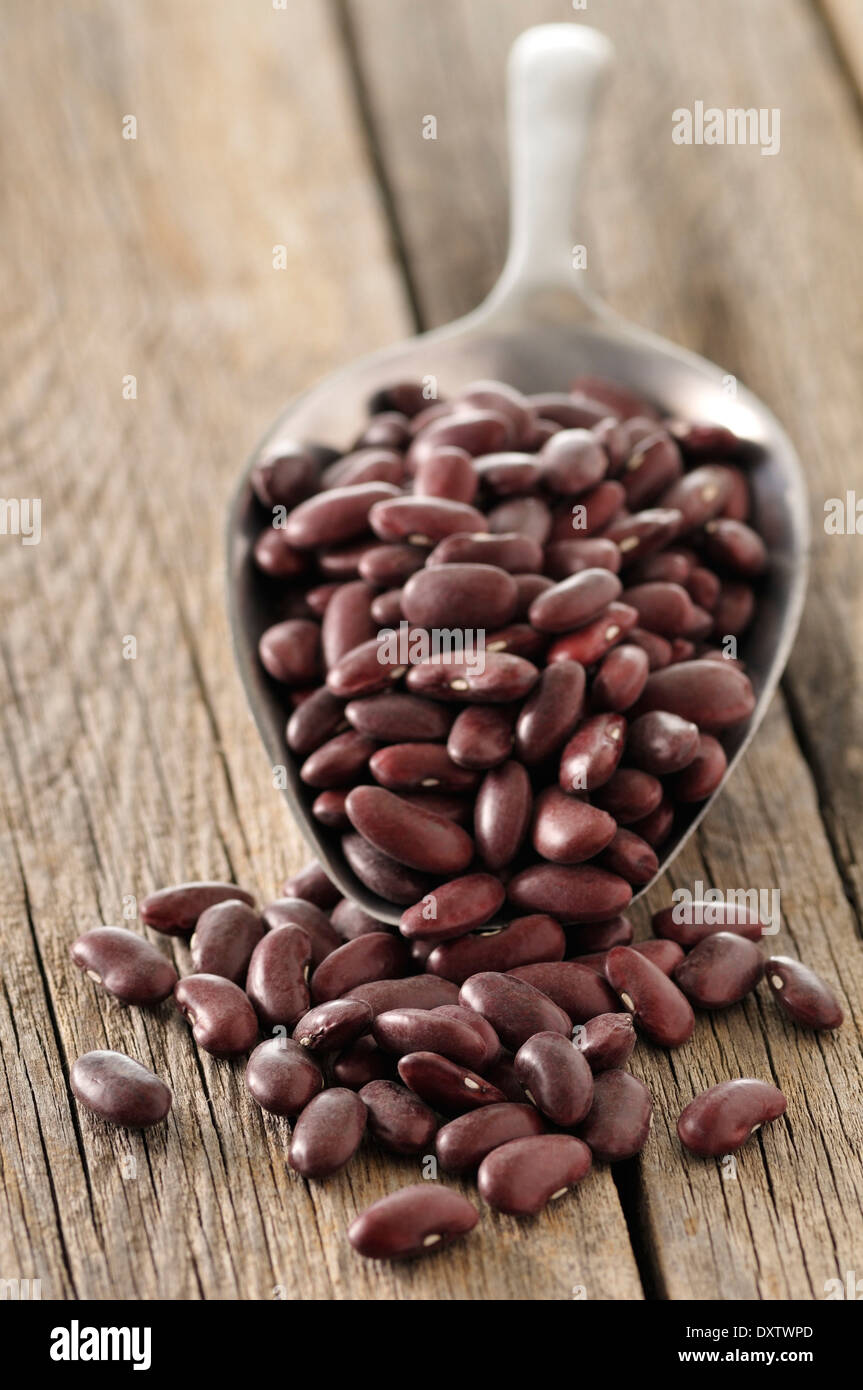 Red kidney beans Stock Photo