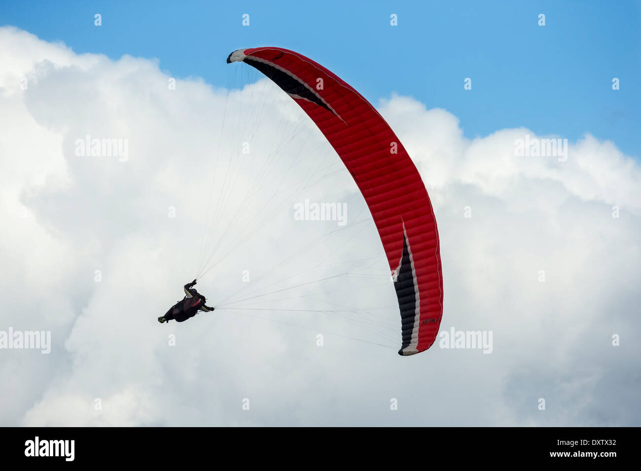 Paraglider soaring in sky among towering cumulus clouds-Victoria, British Columbia, Canada. Stock Photo