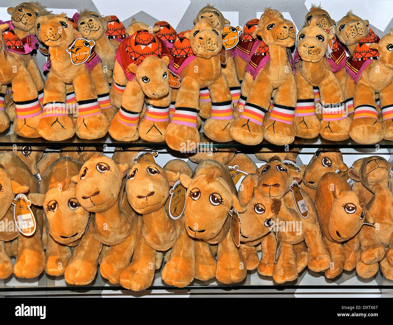 camels plush souvenir Abu Dhabi international airport Stock Photo