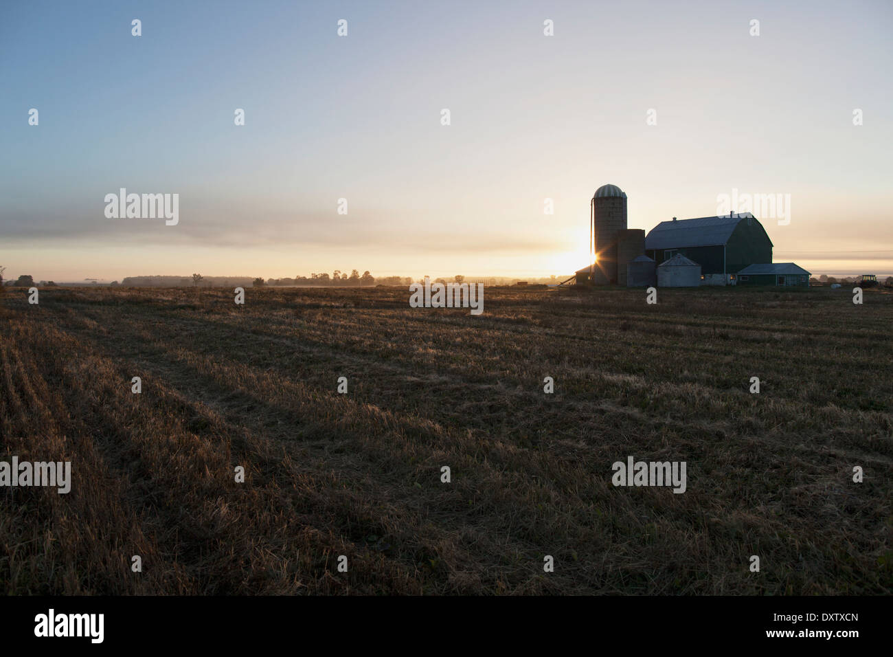 Farm field at dawn; Caledon, Ontario, Canada Stock Photo
