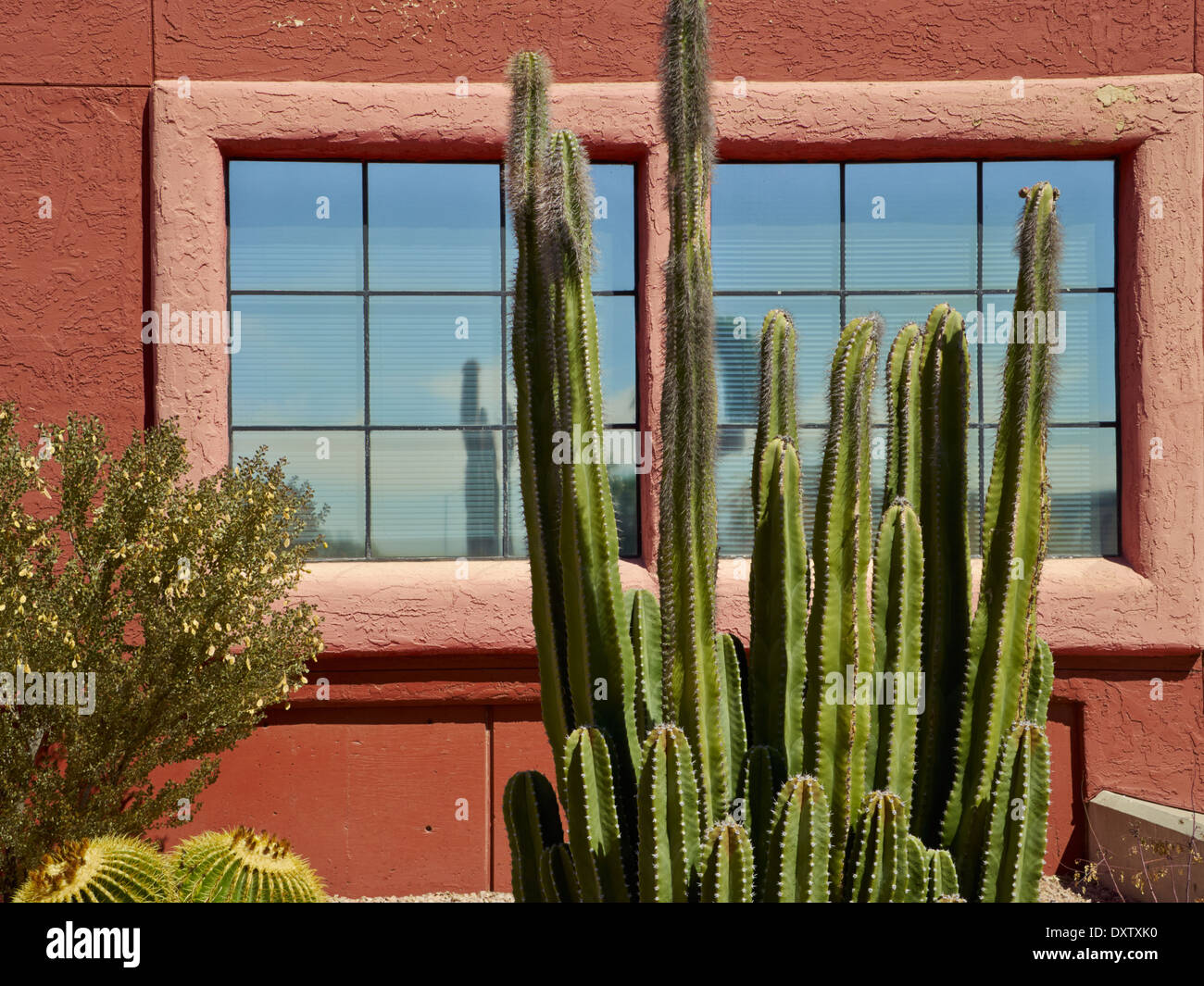 Downtown Details, Tucson, Arizona, USA Stock Photo
