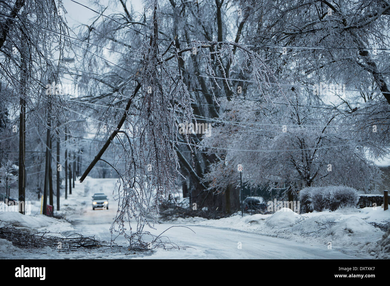 Damage from December 21, 2013 ice storm on King Street; Georgetown, Ontario, Canada Stock Photo