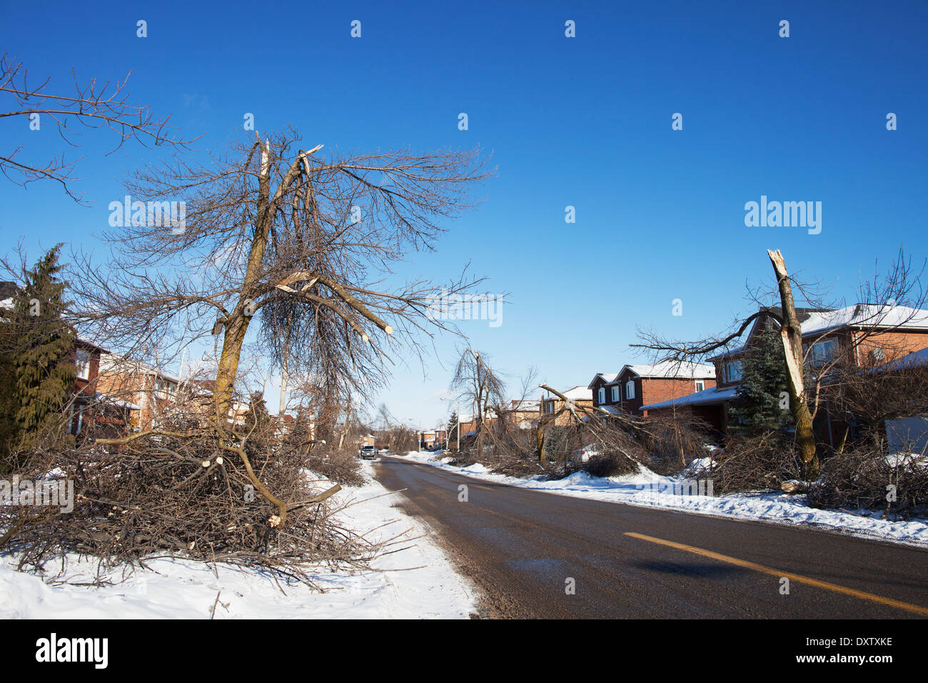 Damage from December 21, 2013 ice storm on Petworth Road; Brampton, Ontario, Canada Stock Photo