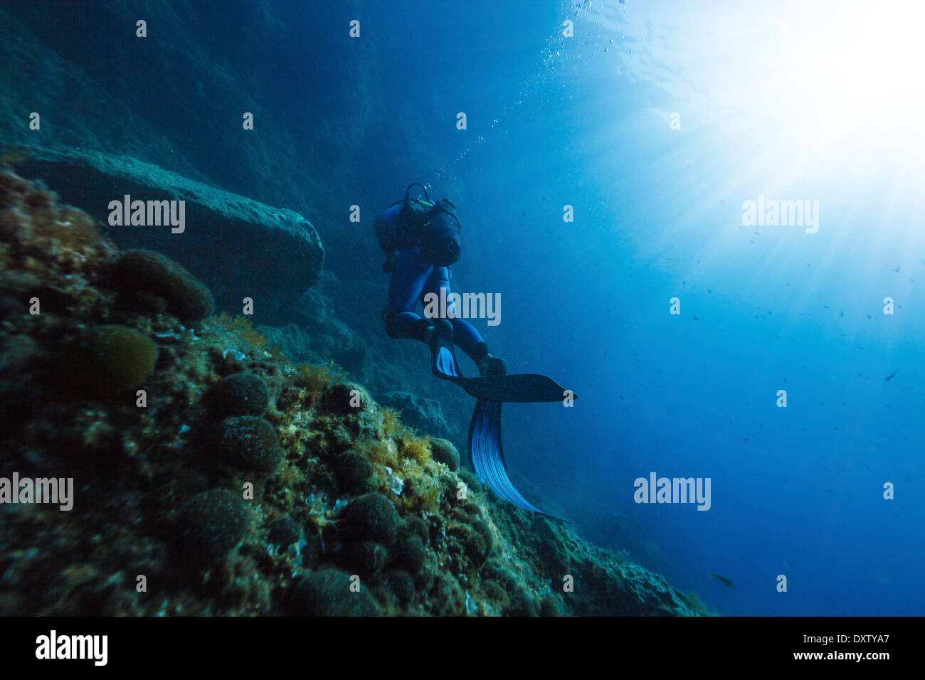 Diving, Sunlight, Adriatic Sea, Croatia, Europe Stock Photo