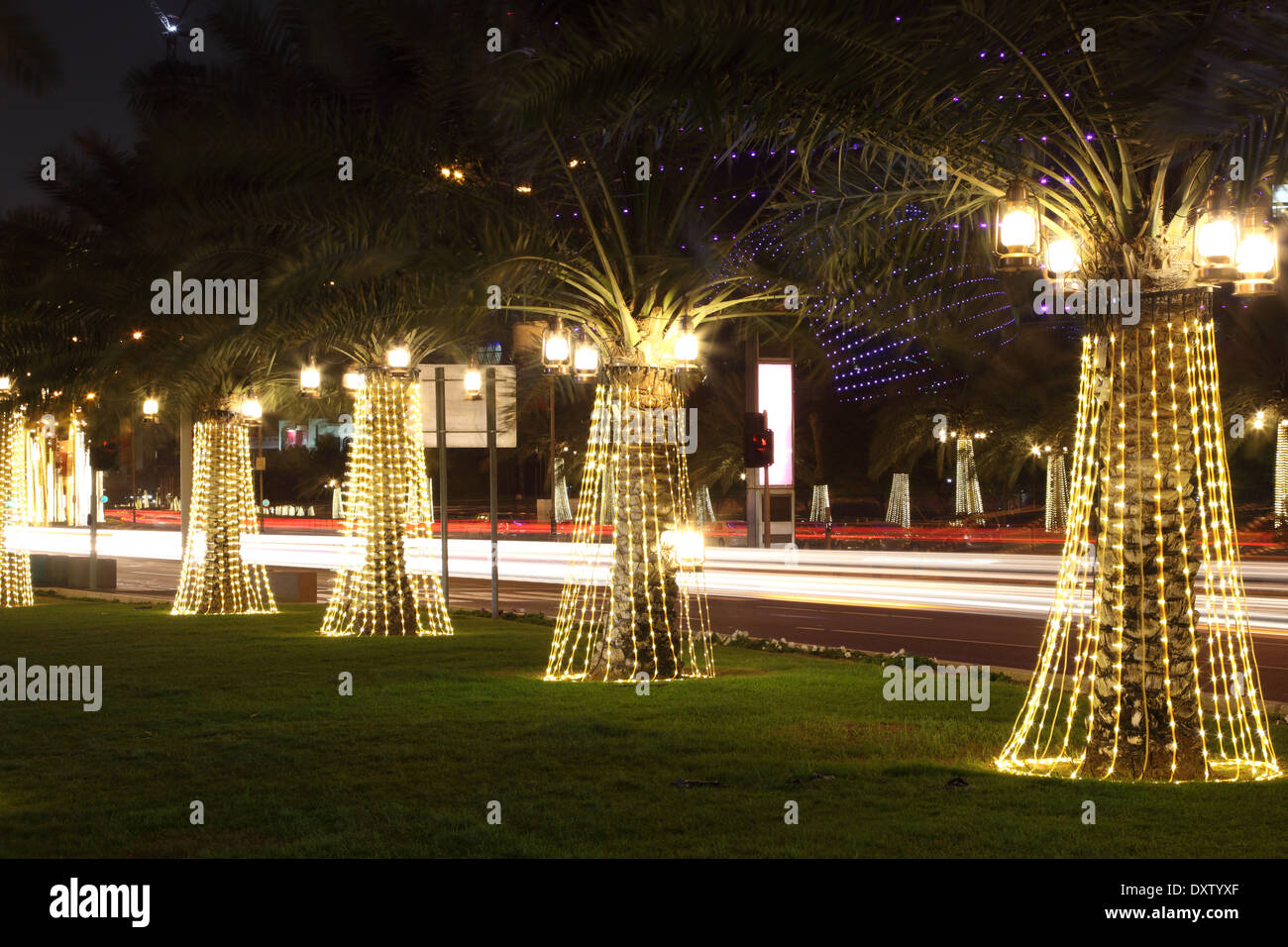 Illuminated palm trees at the corniche in Doha. Qatar, Middle East Stock Photo