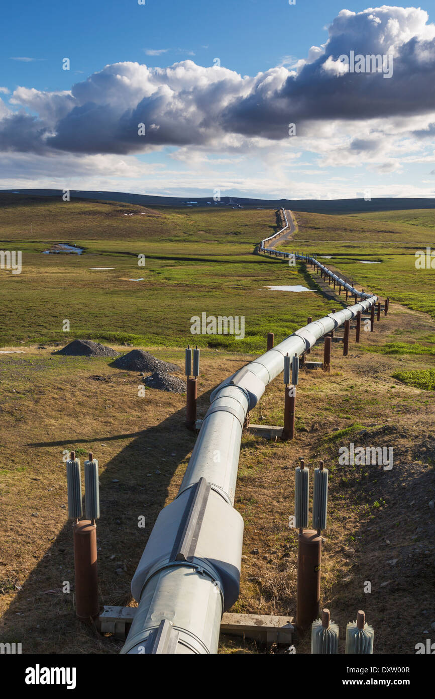 Alaskan pipeline dildo, fuckingmother gifs