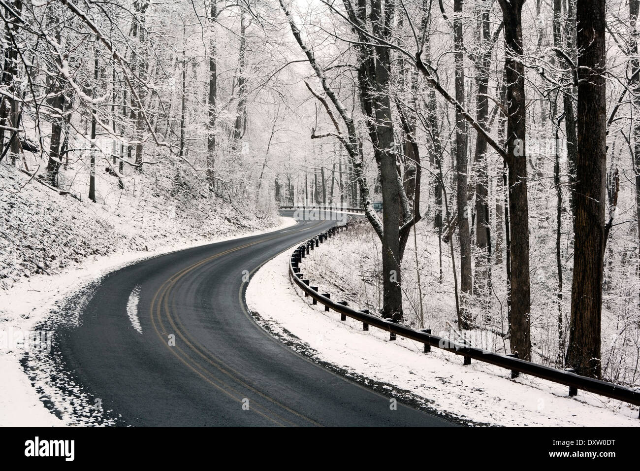 Road through Pisgah National Forest in winter near Brevard, North