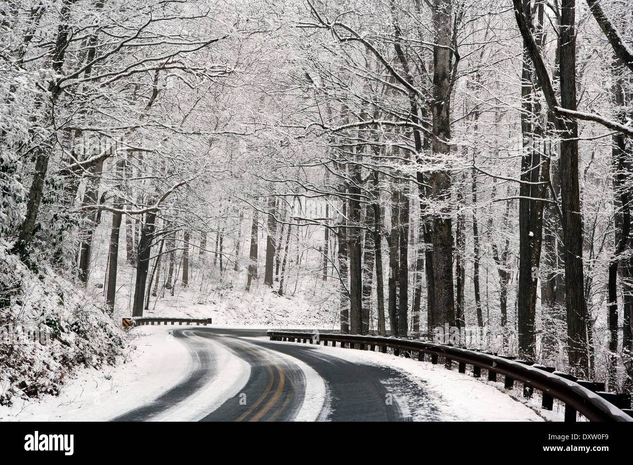 Road through Pisgah National Forest in winter near Brevard, North Carolina USA Stock Photo Alamy