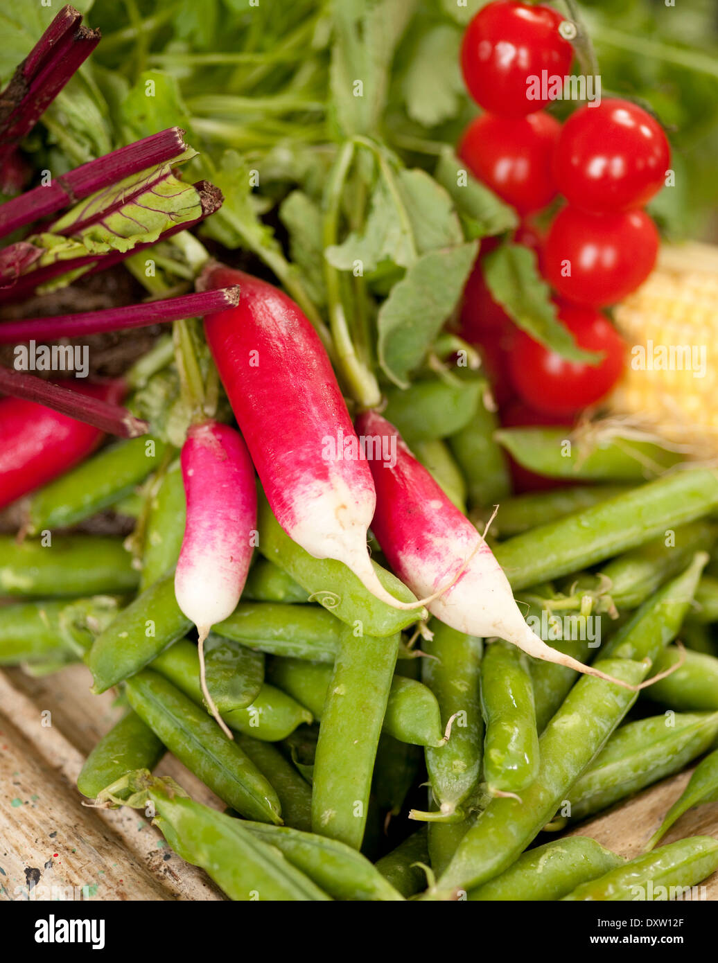 Fresh vegetables Stock Photo