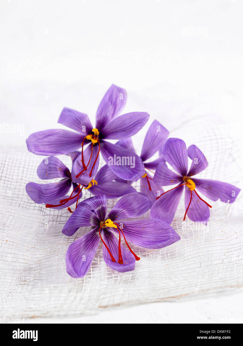 Saffron saffron threads hires stock photography and images Alamy