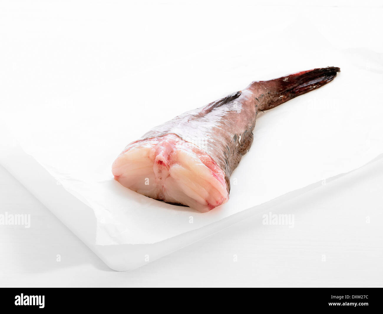 Raw monkfish tail Stock Photo