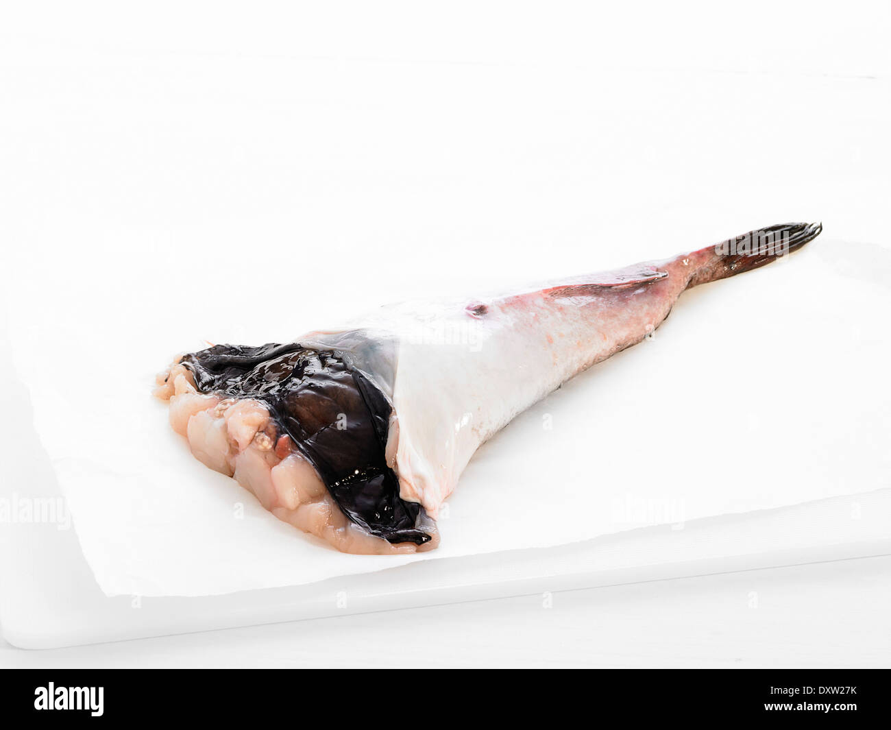 Raw monkfish tail Stock Photo