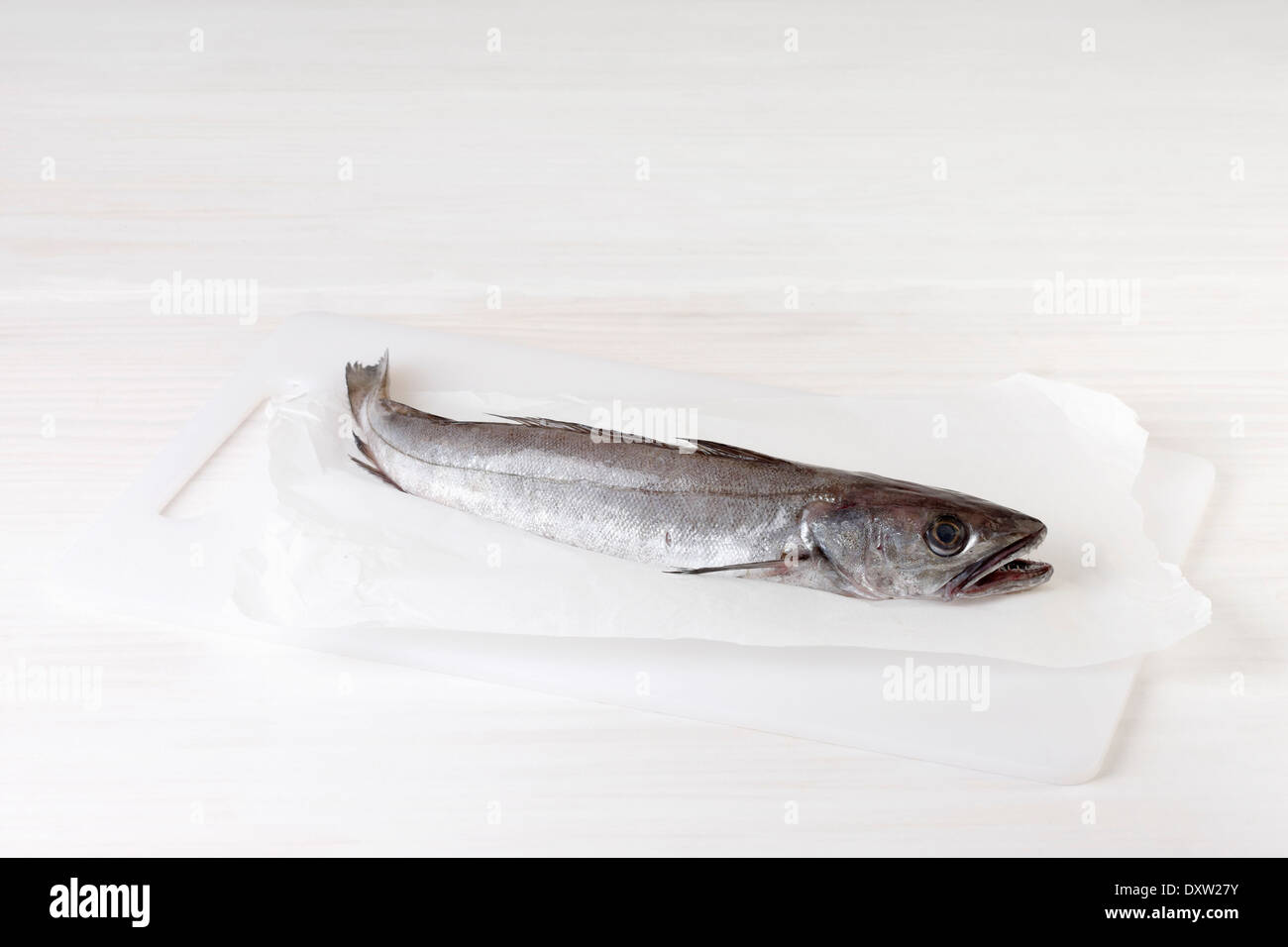 Whole raw hake Stock Photo Alamy