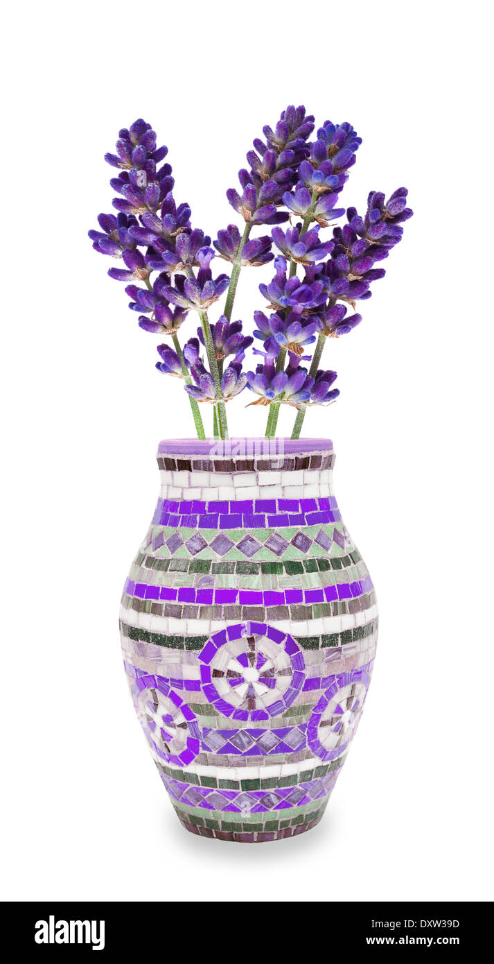 Lavender vase isolated on white Stock Photo Alamy