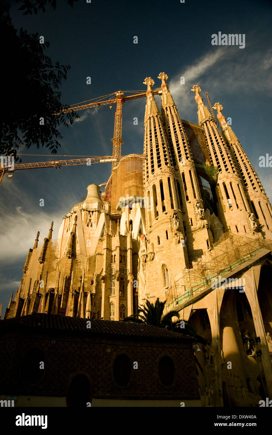 Sagrada Família and cranes in late afternoon light Stock Photo