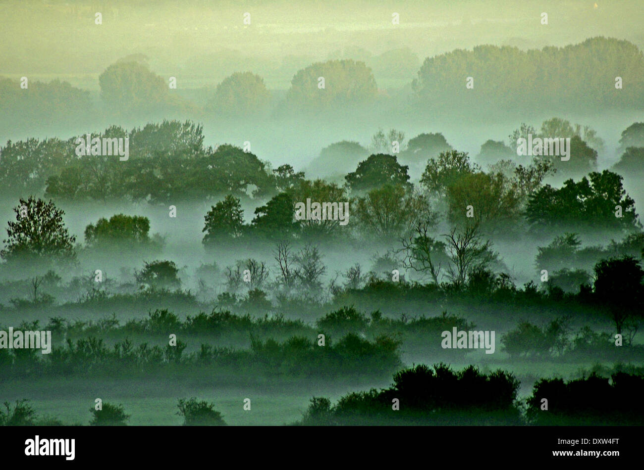 Morning Rising Mist Morning mist rising in hi-res stock photography and images - Alamy