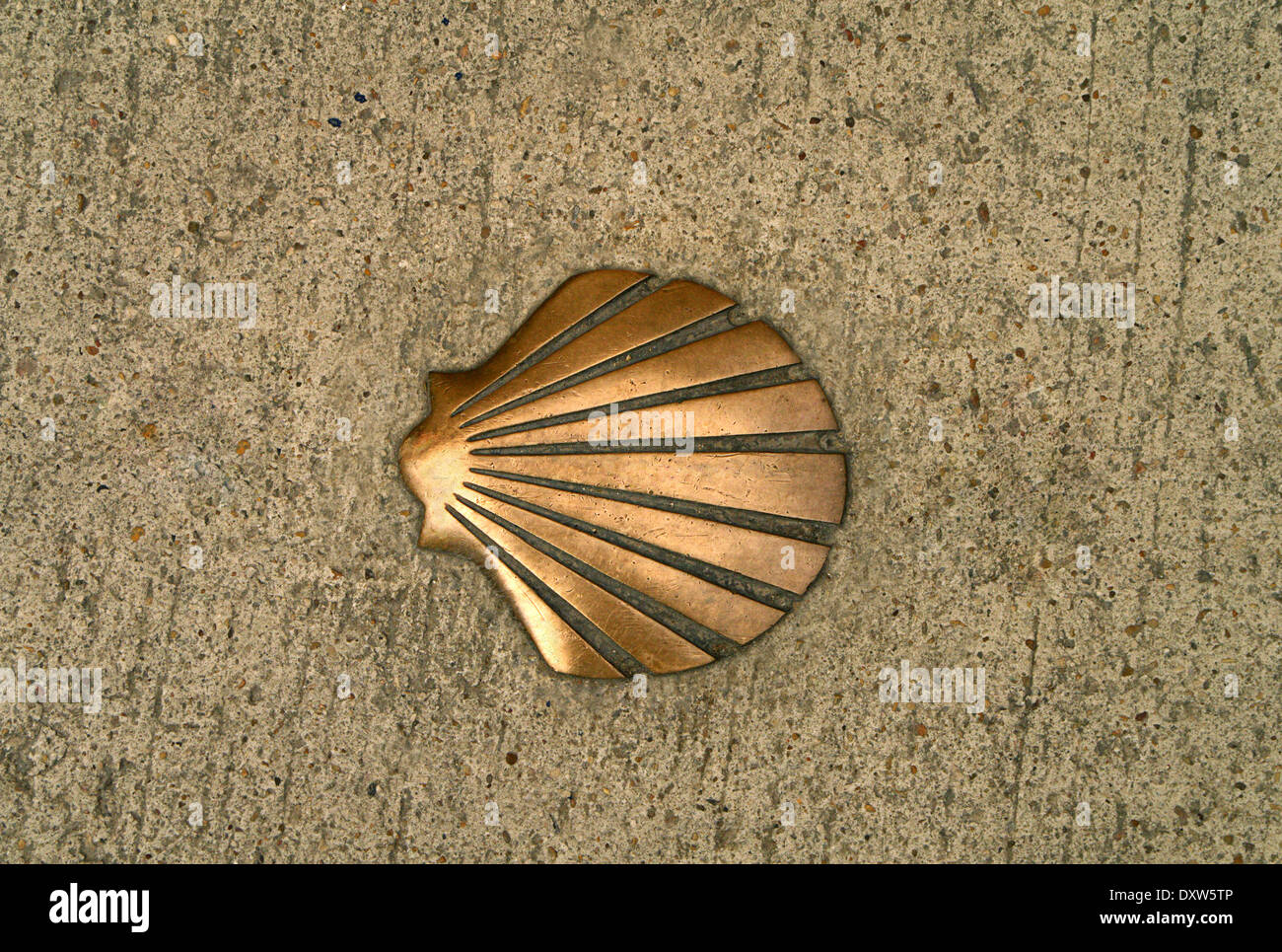The Shell symbol of the El Camino De Santiago De Compostela Stock Photo