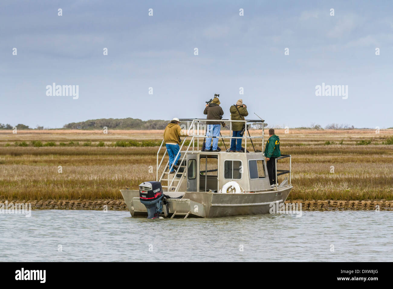 Photographers looking for Whooping Cranes in Aransas Pass National Wildlife Refuge in South Texas. Stock Photo