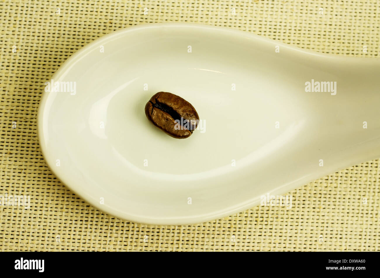 Fresh roasted coffee grains close-up in white porcelain spoon. Stock Photo