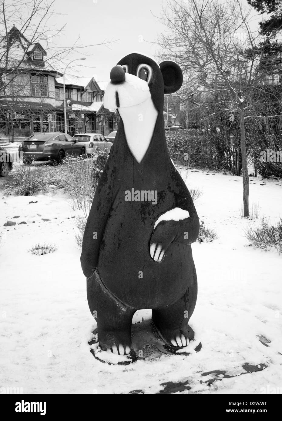 Bear Black and White Stock Photos & Images Alamy