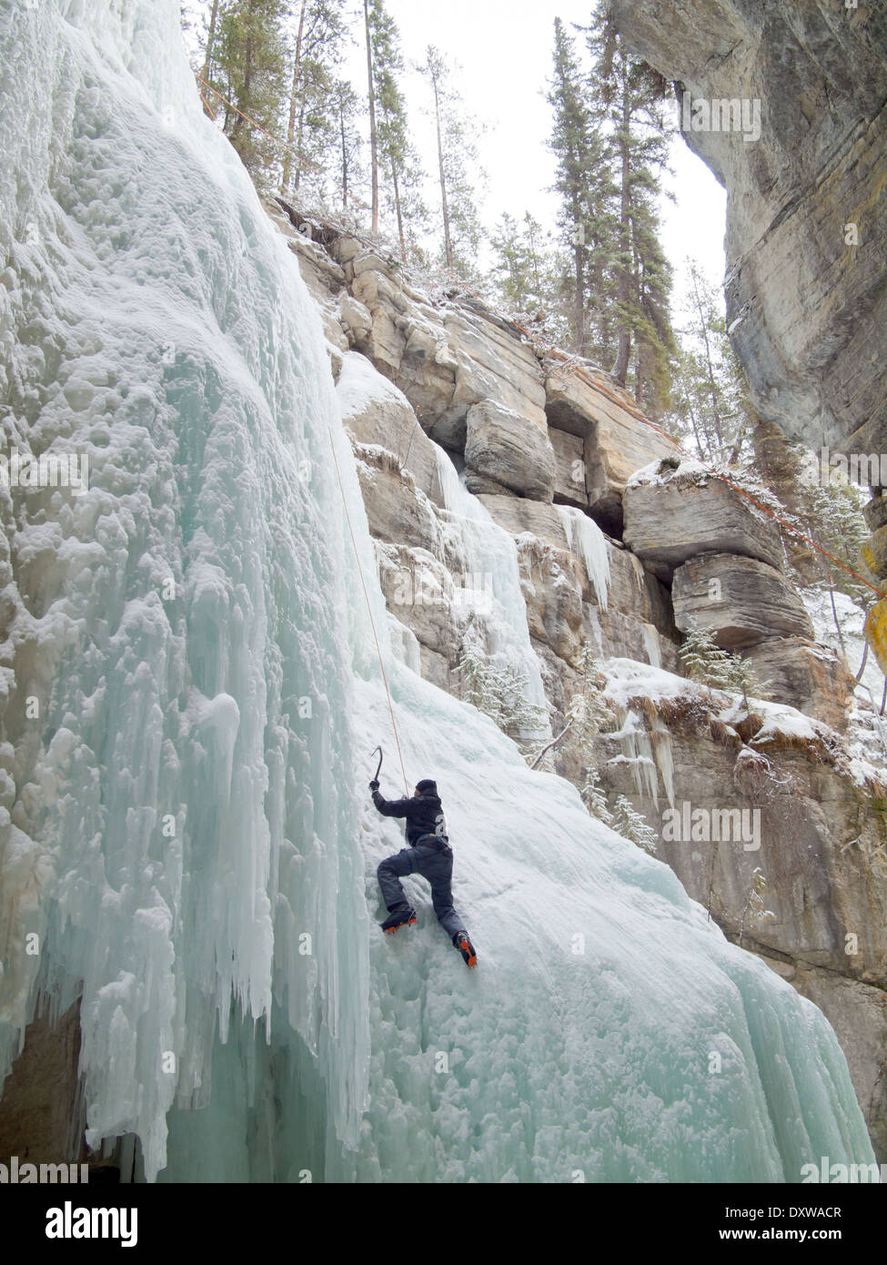 An ice climber scales "The Queen", a famous ice climb in Maligne Canyon